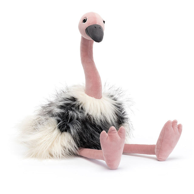 Ramonda Ostritch