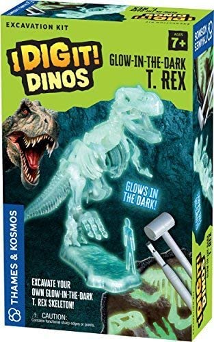 Glow in the Dark T Rex