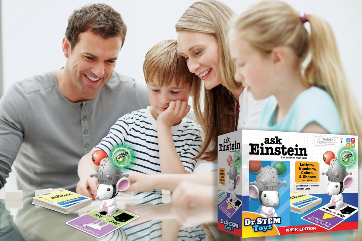 Einstein Animals & Dinos Flash Cards Booster Pack-2