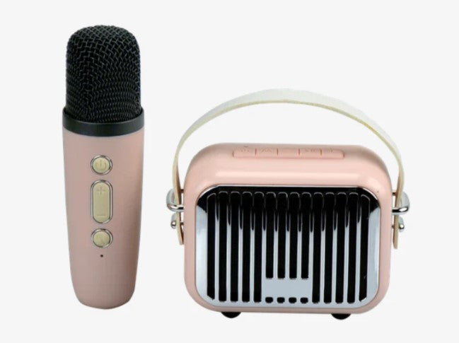 Mini Karaoke: Pink