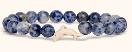 Dolphin Coastal Odyssey