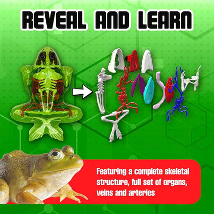Dissect IT Super Frog Lab