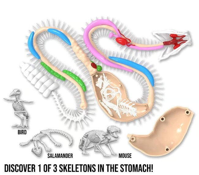 Dissect IT Rattlesnake