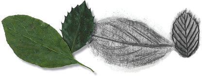 Do Art Drawing Sketching-3