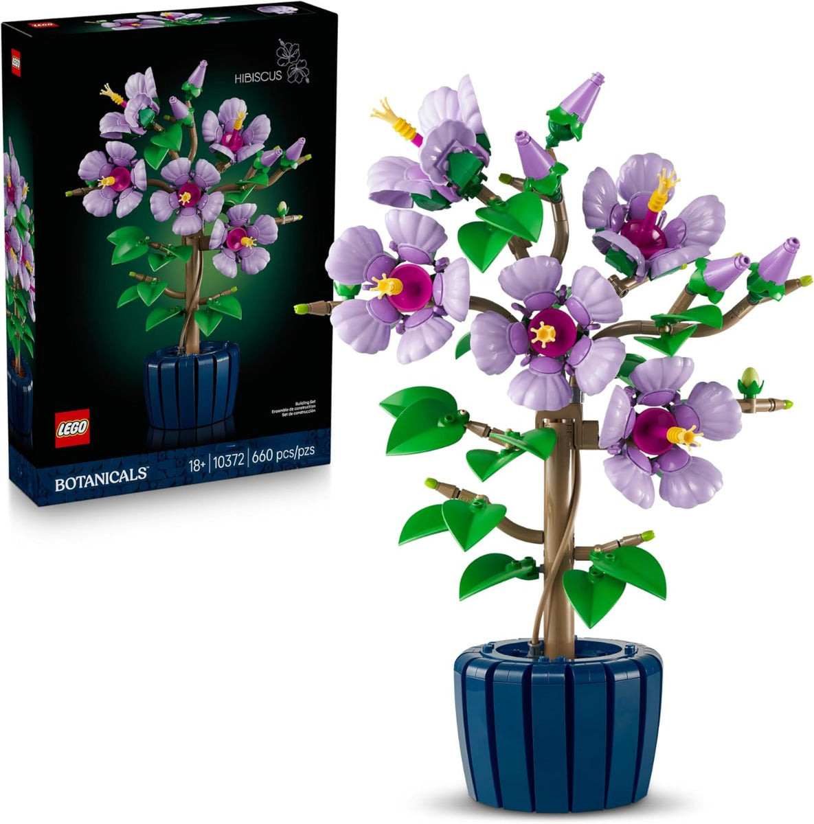 Botanicals 10372-1