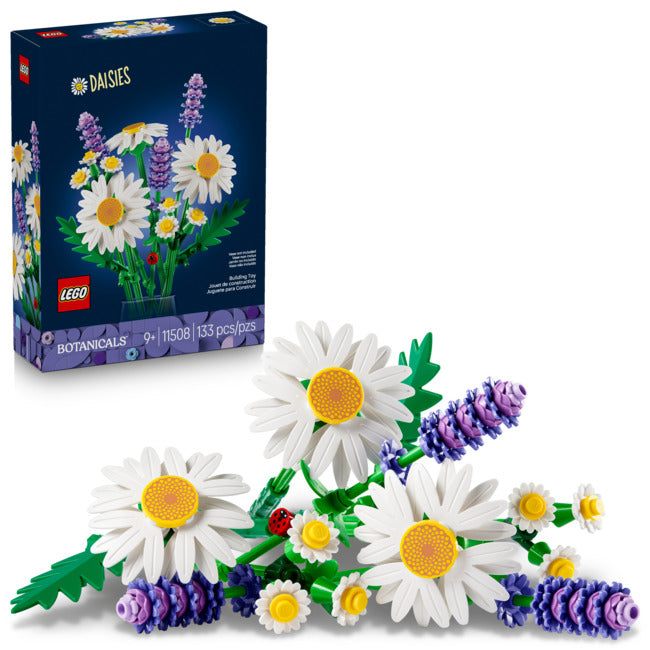 Daisies-2