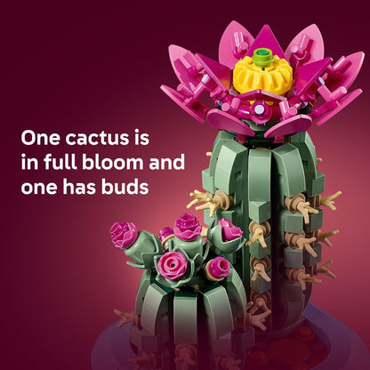 Flowering Cactus-3