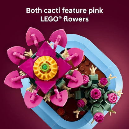 Flowering Cactus-4