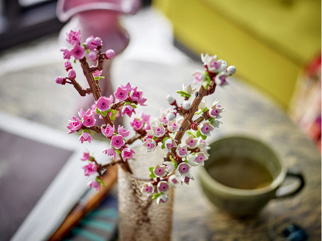 Cherry Blossoms-4