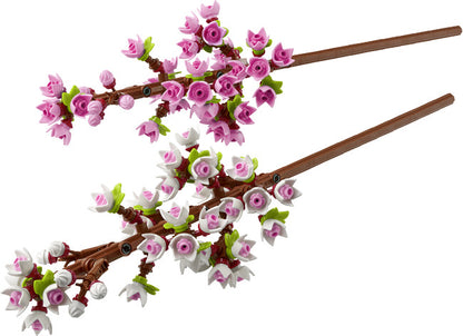 Cherry Blossoms-5