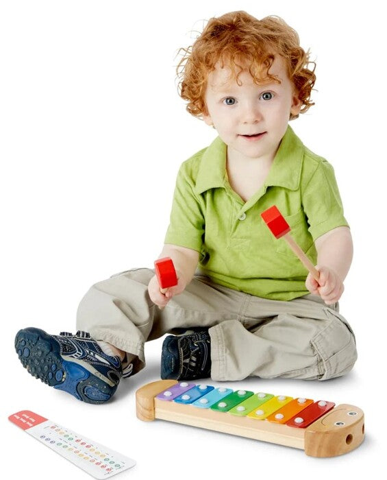 Wood Caterpillar Xylophon