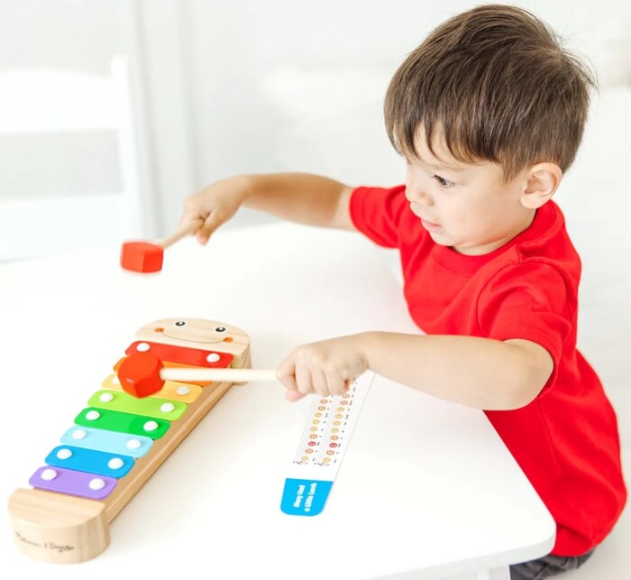 Wood Caterpillar Xylophon