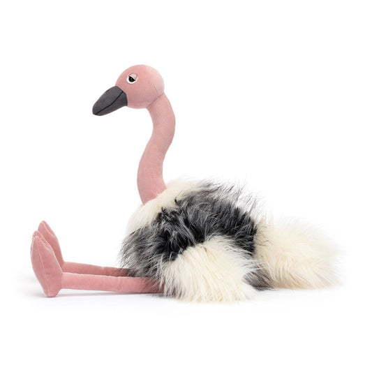 Ramonda Ostritch