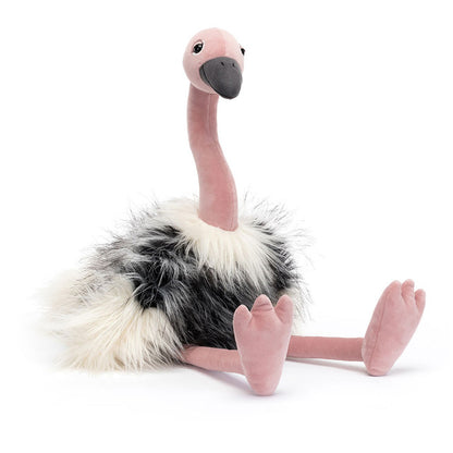 Ramonda Ostritch