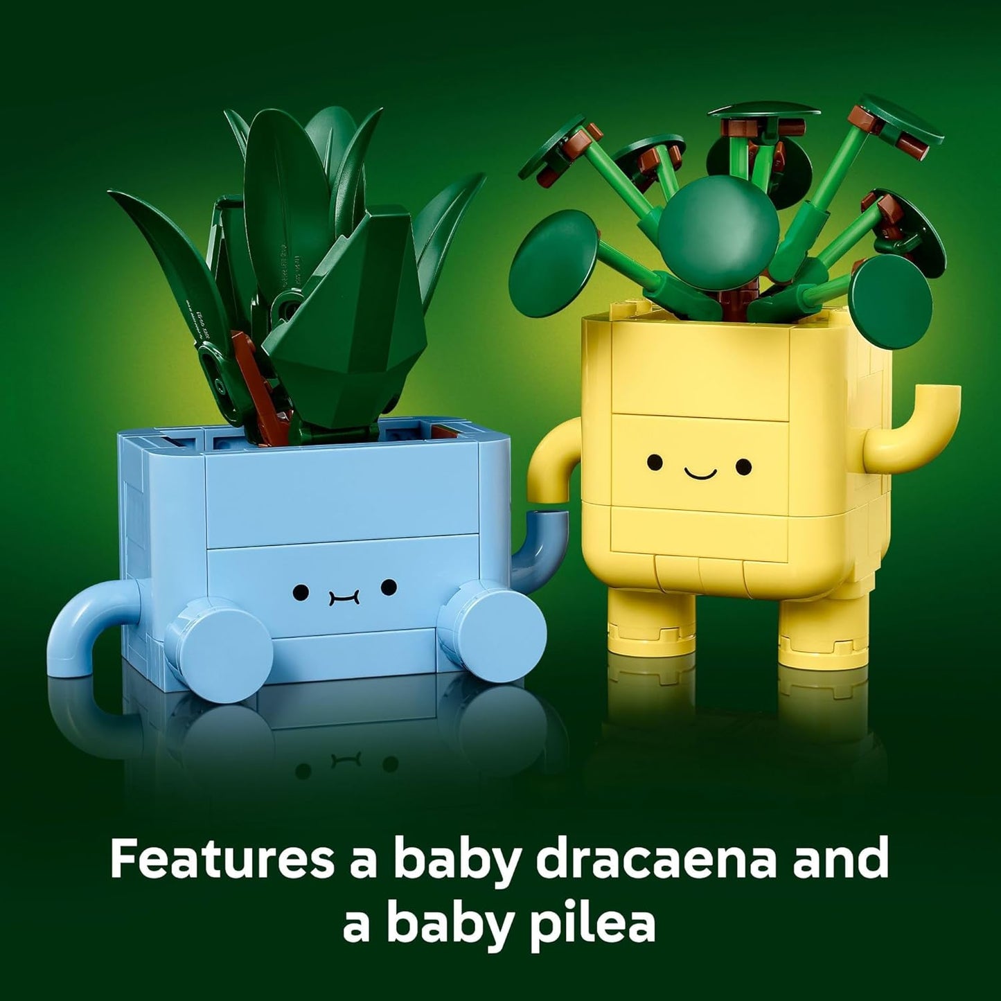 Happy Plants V39
