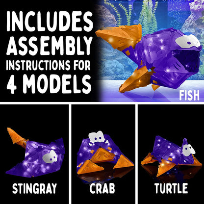 Flashy Fish Silly Swimmer