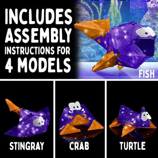 Flashy Fish Silly Swimmer