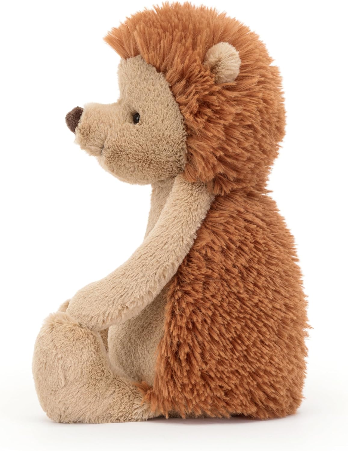 Bashful Hedgehog Medium