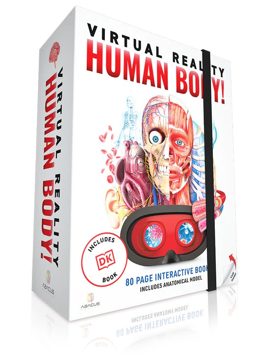 Virtual Reality Human Bdy