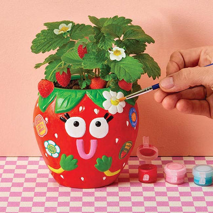 Paint & Grow Strawberry Planter