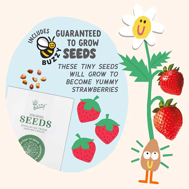 Paint & Grow Strawberry Planter