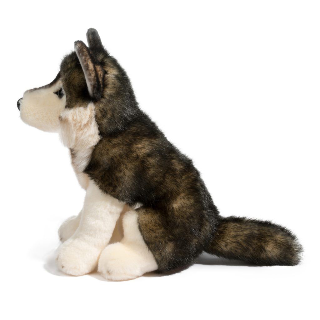 Atka Wolf-2