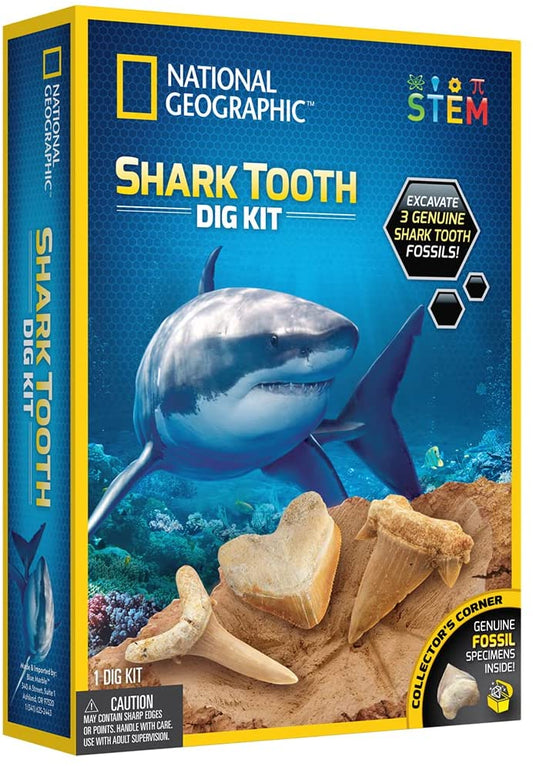 Shark Tooth Dig Kit