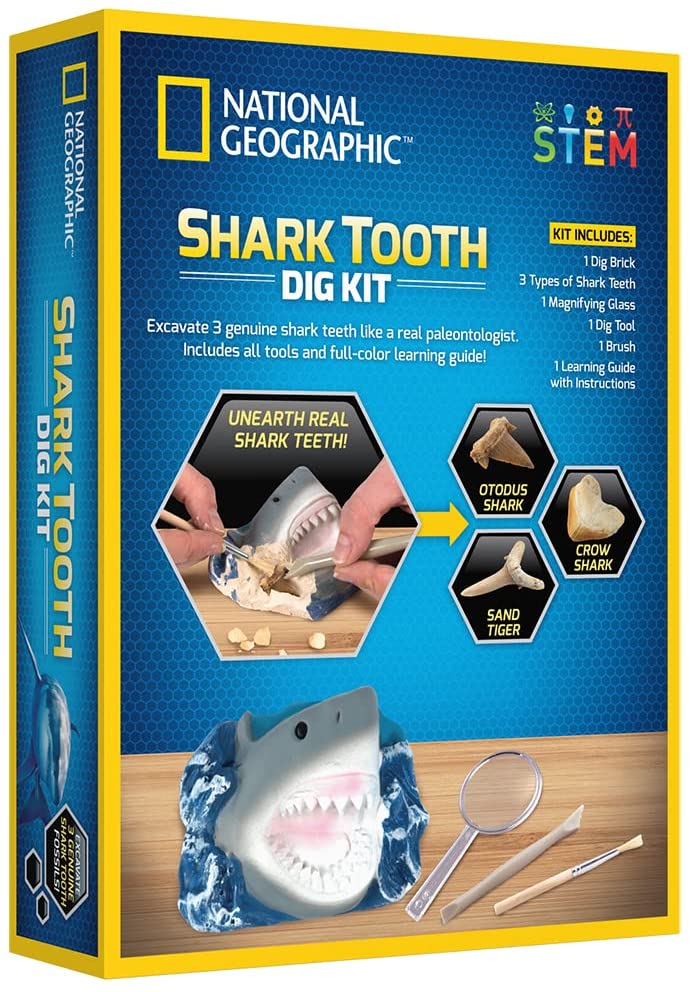 Shark Tooth Dig Kit