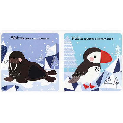 Arctic Animals-3