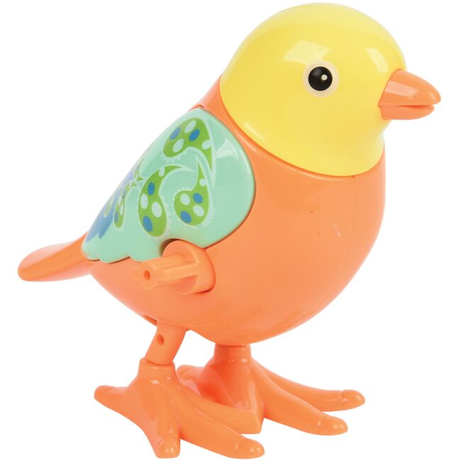 Wind Up Bird