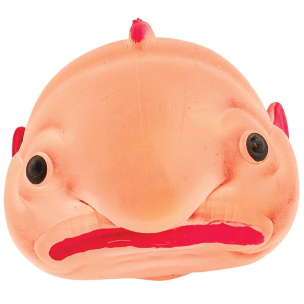 Sugarblob Squeezy