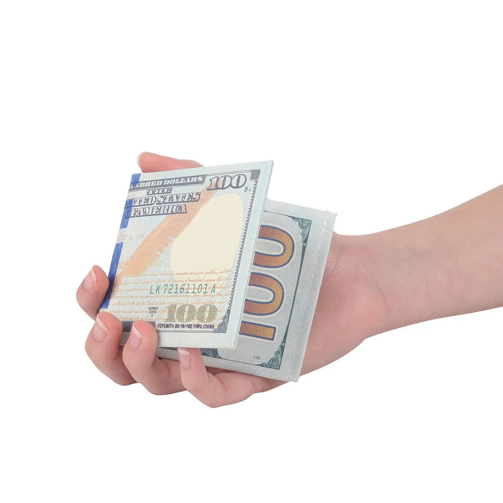 Dollar Bill Wallet-1