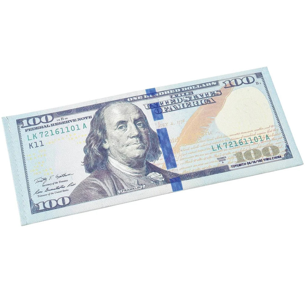 Dollar Bill Wallet-2