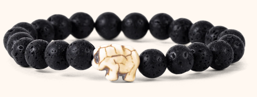 Elephant Lava Expedition