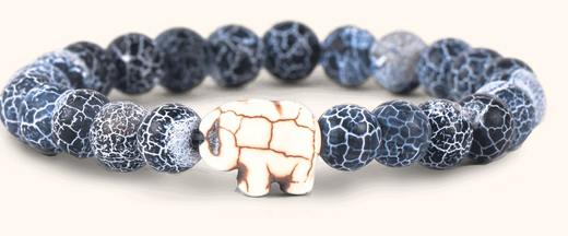 Elephant River Expedition