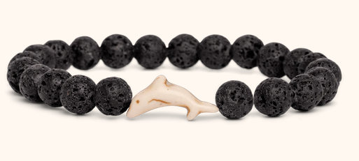 Dolphin Lava Odyssey