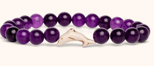 Dolphin Purple Odyssey