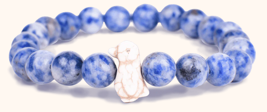 Penguin Igloo Passage